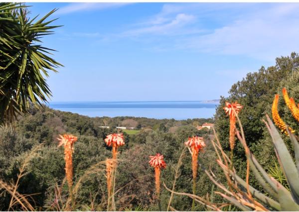 Calcatoggio (20111) Villa 270 m² sur 2 927 m² de terrain à Calcatoggio