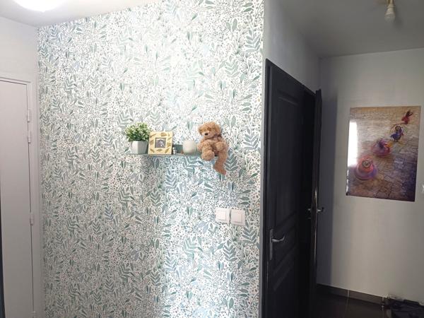 Montpellier (34000) Vente à terme occupée à vie ( réserve d'usufruit )