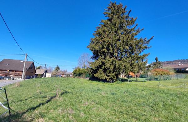 Terrain à vendre de 1 591,00 m² VIUZ EN SALLAZ (74)