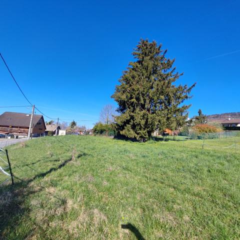 Terrain à vendre de 1 591,00 m² VIUZ EN SALLAZ (74)