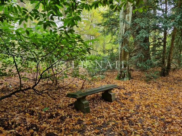 Belle propriété de 50 hectares en Sologne des étangs à 2h10 de Paris