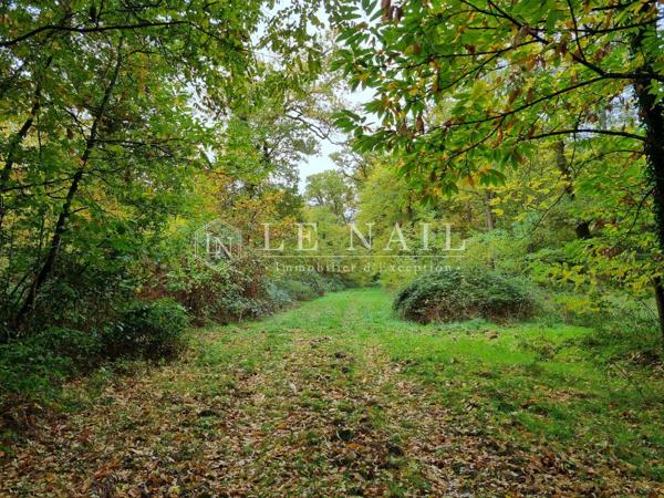 Belle propriété de 50 hectares en Sologne des étangs à 2h10 de Paris