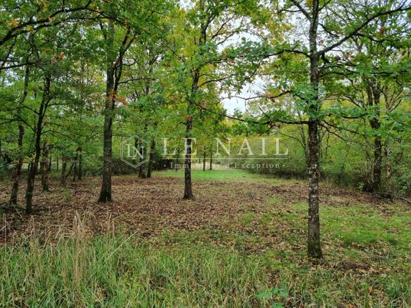 Belle propriété de 50 hectares en Sologne des étangs à 2h10 de Paris