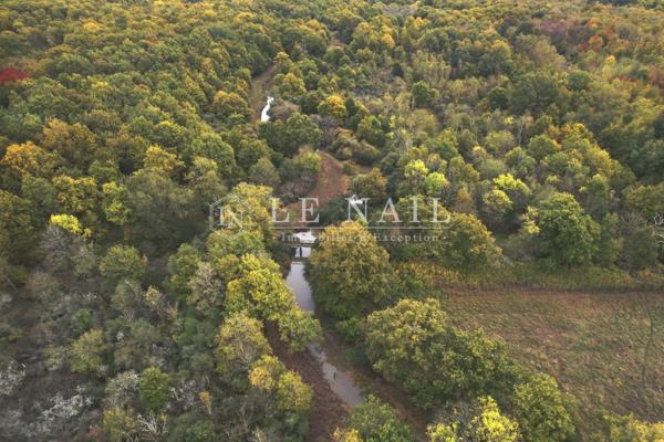 Belle propriété de 50 hectares en Sologne des étangs à 2h10 de Paris