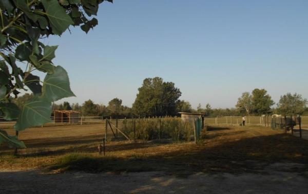 Vente Maison Dans un mas Saint-gilles