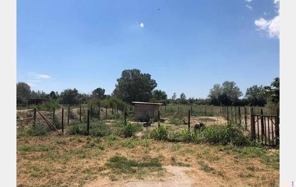 Vente Maison Dans un mas Saint-gilles