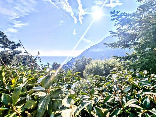 Maison Roquebrune-Cap-Martin 170 m²