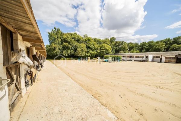 Propriete equestre de 236 m²