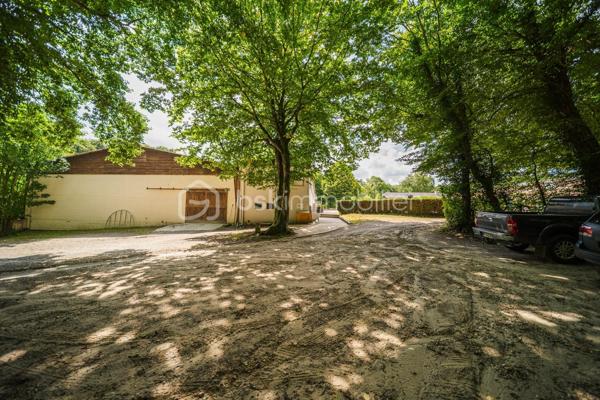 Propriete equestre de 236 m²