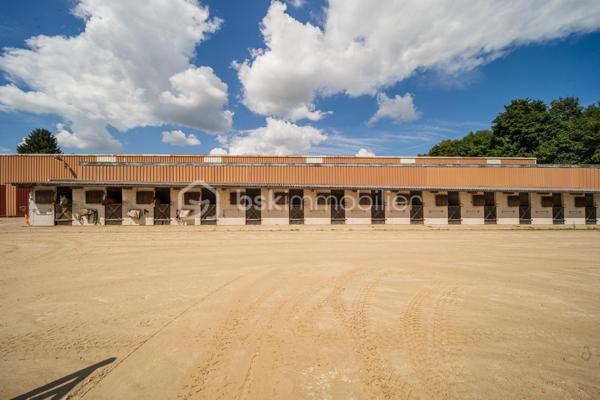Propriete equestre de 236 m²