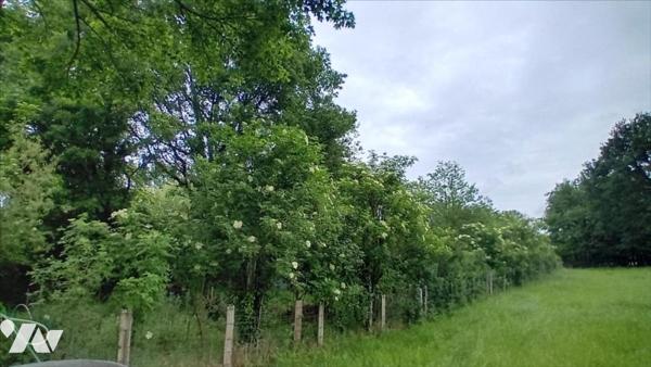 PARIGNE L'EVEQUE campagne, longère  avec travaux, 2 chambres.