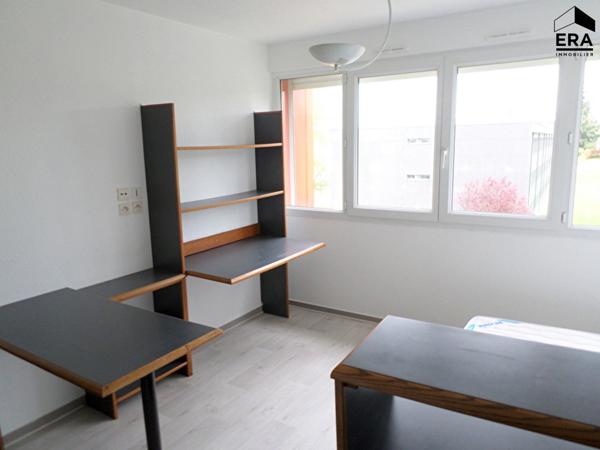 Appartement - secteur Polyclinique - 1 pièce -19,04 m²