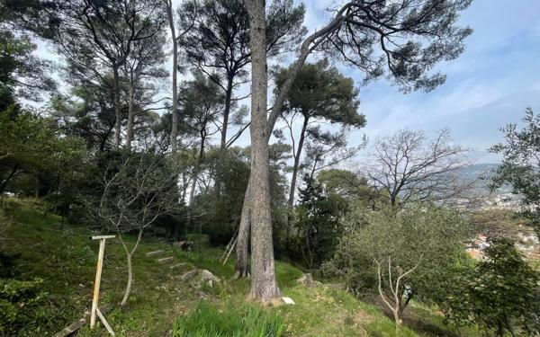 Maison à vendre    5 pièces • 100 m2 Toulon