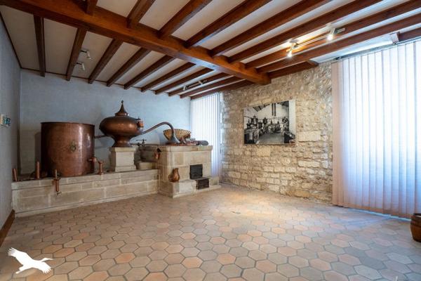 Maison à vendre 525 000 € Châteauneuf-sur-Charente 10 p 456 m² DPE E