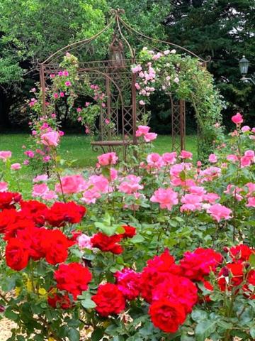 DEMEURE BRESSANE  haut gamme terrain 2 hectares