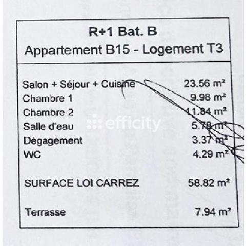 Appartement 3 pièces - 59 m² Exclusivité efficity