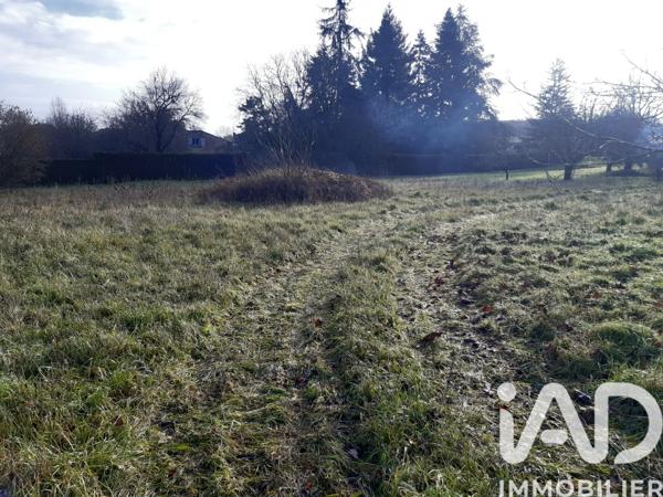 Terrain à vendre 1 036 m² Brie