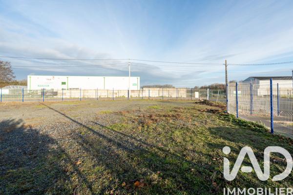 Terrain à vendre 1 135 m² Montrevault-sur-Èvre