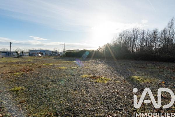 Terrain à vendre 1 135 m² Montrevault-sur-Èvre