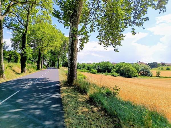 Maison XIXème en pierres !