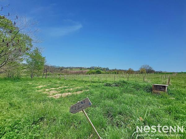 A Vendre Maison en pierre de 164 m² avec dépendance de 120 m² et grand terrain dans un hameau