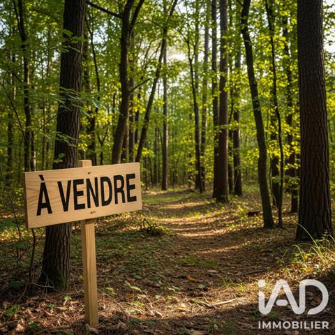 Terrain à vendre 14 306 m² Margaux-Cantenac