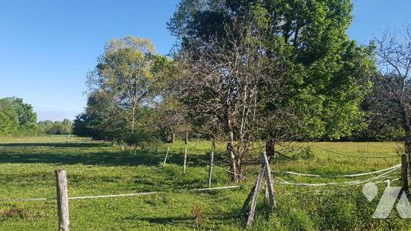 Située sur la commune de Saint-Georges-sur-la-Prée, dans un environnement calme et verdoyant, c...