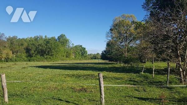 Située sur la commune de Saint-Georges-sur-la-Prée, dans un environnement calme et verdoyant, c...