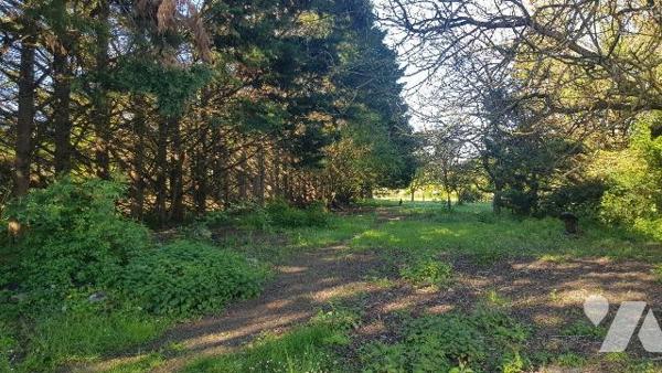 Située sur la commune de Saint-Georges-sur-la-Prée, dans un environnement calme et verdoyant, c...