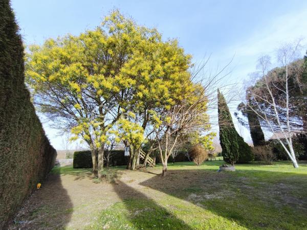 Vends maison de HAUT-STANDING de 245 m2 très proche du centre ville, de toutes les commodités ainsi que des transports.

Le Domaine : Un écrin de verdure rare aux portes de la ville.
Située dans un environnement privilégié au calme absolu et sans aucun vis-à-vis, découvrez cette demeure de haut standing construite en 2000 par un maître maçon. Alliant une qualité de bâti traditionnelle irréprochable et un confort résolument contemporain, cette propriété de 245 m² habitables a été entièrement rafraîchie il y a trois ans, avec possibilité de détacher une parcelle de 2000 m2 constructible (Pour de l'investissement locatif, chambre d'hôte, air BandB, etc...)
L’Espace de Vie : Volume, Lumière et Noblesse des Matériaux
Dès l’entrée, le ton est donné par un majestueux escalier en marbre. Le cœur de la maison se dévoile sur une pièce de vie spectaculaire de 130 m² baignée de lumière, comprenant un salon-séjour avec poêle à bois et une cuisine ouverte équipée. Le plan de travail en granit souligne la fonctionnalité et l'élégance de cet espace conçu pour la convivialité.
Le bien dispose de 9 pièces parfaitement agencées :
5 chambres spacieuses.
Un bureau indépendant pour le télétravail.
Une salle de sport dédiée.
Une buanderie/arrière-cuisine séparée.
2 salles de bains et 2 WC (dont un WC japonais de haut standing).

L’Extérieur : Une Oasis de Détente
Terrain de 3788 m² cloturé et arboré, avec possibilité de détacher un lot de 2000 m2 dont 800 m2 constructible, déjà borné.
Espace Piscine :
Bassin au sel (7mx3,5 m) avec rideau de sécurité, entouré d'une terrasse couverte de 45 m² avec un barbecue bâti.
Terrasse d'accueil : Une seconde terrasse de 20 m² offre une vue apaisante sur le parc à l'entrée.

Technologie et Performance Énergétique
Cette maison anticipe vos besoins de demain :
Énergie : Panneaux solaires, chauffage au gaz au sol et climatisation réversible intégrale.
Double garage de 60 m² avec portes automatiques + vaste abri-voiture et borne de recharge rapide pour véhicules électriques.
Sécurité : Alarme, vidéosurveillance intérieure/extérieure, portail électrique et interphone.
Connectivité : Fibre optique installée.

Les points clés :
Surface : 245 m² (9 pièces)
Terrain : 3788 m2
Annexes : Garage 60 m² + Carport
État : Excellent (Rafraîchi en 2023)
Assainissement : Tout-à-l'égout

RARE et à visiter sans tarder !

PRIX H.A.I. : 689000 €

Contactez-moi : 
PIERLOT Corentin.
Agent commercial immatriculé au RSAC d'Albi sous le numéro 521641936.
BSK Immobilier.

INFORMATIONS ET VISITES : 0621220824.
Mail : cpierlot@bskimmobilier.com