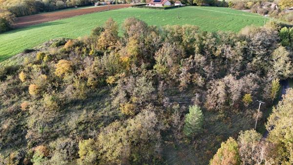 Terrain de loisir/bois