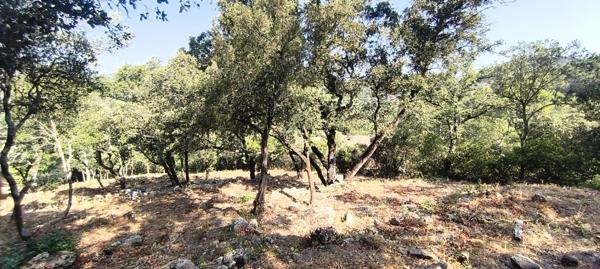 Terrain à batir