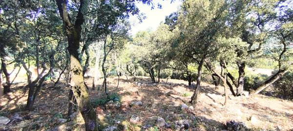 Terrain à batir