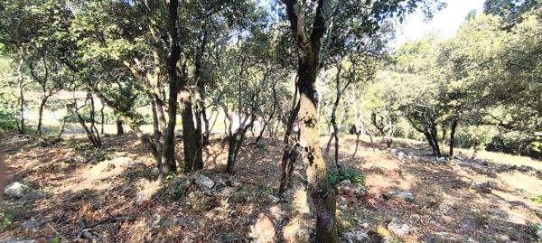 Terrain à batir