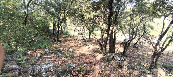 Terrain à batir