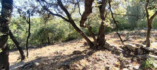 Terrain à batir