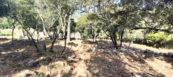 Terrain à batir