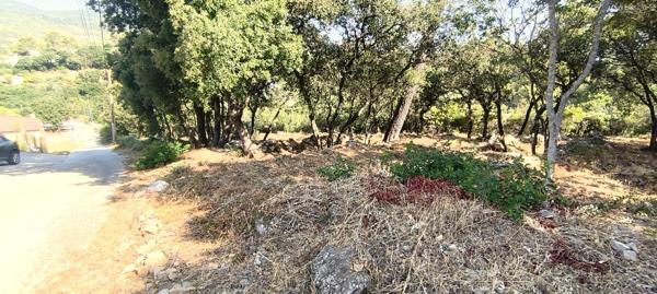 Terrain à batir