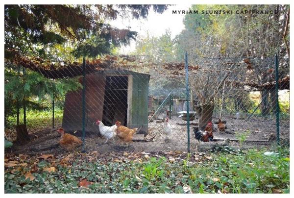 Dpt Landes (40), à vendre RIVIERE SAAS ET GOURBY Maison de Maître de fin 17ème de 225 m² environ.