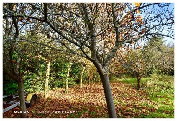 Dpt Landes (40), à vendre RIVIERE SAAS ET GOURBY Maison de Maître de fin 17ème de 225 m² environ.