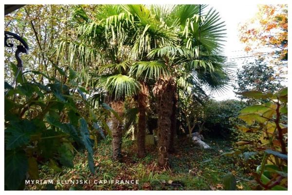 Dpt Landes (40), à vendre RIVIERE SAAS ET GOURBY Maison de Maître de fin 17ème de 225 m² environ.