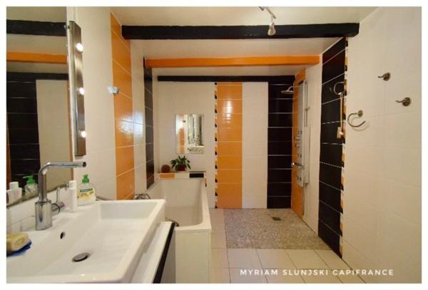 Dpt Landes (40), à vendre RIVIERE SAAS ET GOURBY Maison de Maître de fin 17ème de 225 m² environ.