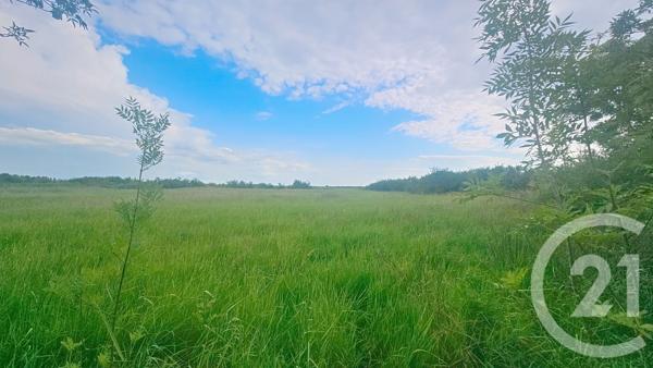 Terrain à vendre  9110 m2 MOREILLES - 85