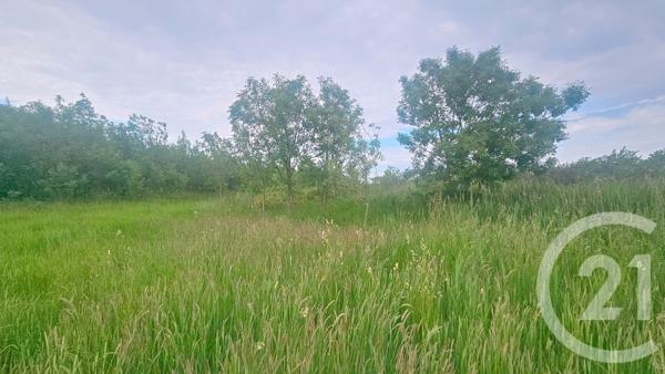 Terrain à vendre  9110 m2 MOREILLES - 85