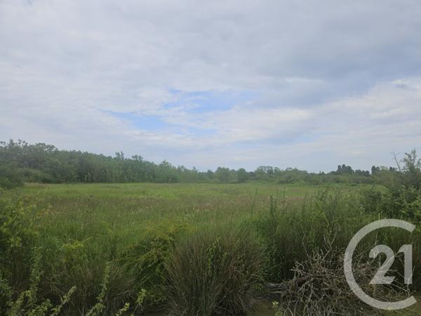 Terrain à vendre  9110 m2 MOREILLES - 85