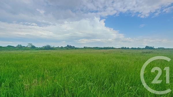 Terrain à vendre  9110 m2 MOREILLES - 85