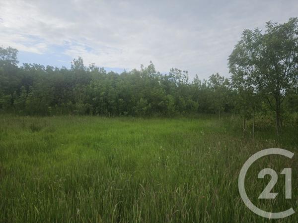 Terrain à vendre  9110 m2 MOREILLES - 85