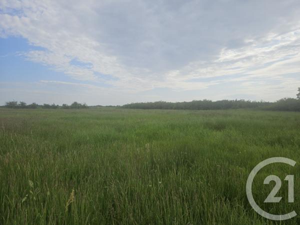 Terrain à vendre  9110 m2 MOREILLES - 85