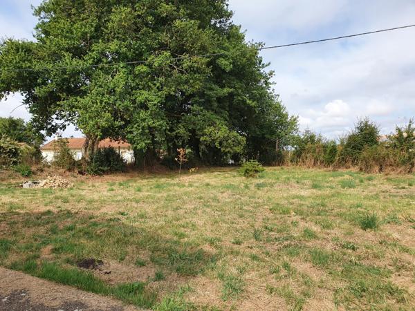 Boivre-la-vallée (86470) Plain pied 3 chambres et grand jardin