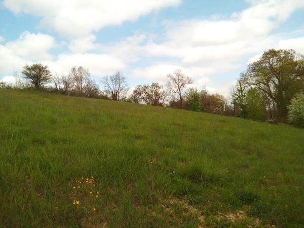 Terrain 1594m² Fleurance (32500)  parcelle